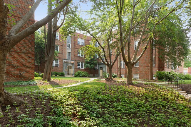 Courtyard with green space