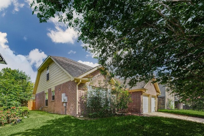 11956 Braes Park Dr
