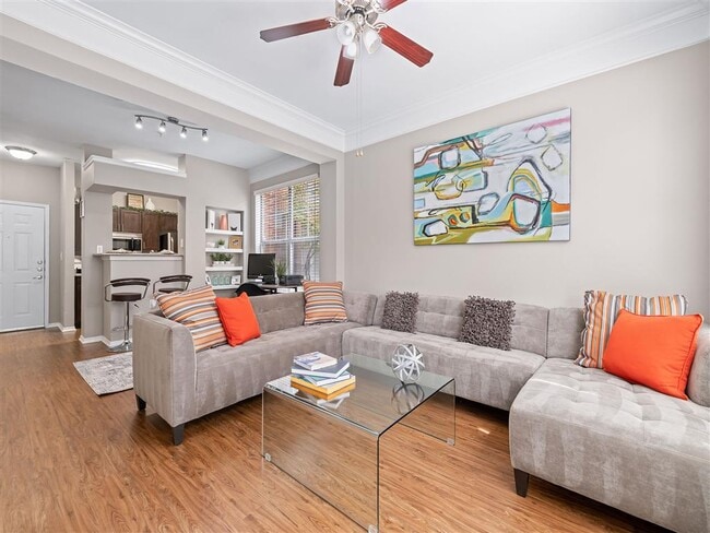 Photo - Marquis on Gaston