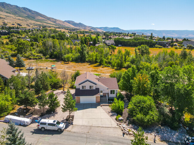 Building Photo - 3778 N Patiosprings Dr Rental