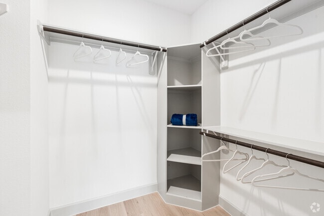 2BR, 2BA - 1,129SF - Primary Closet