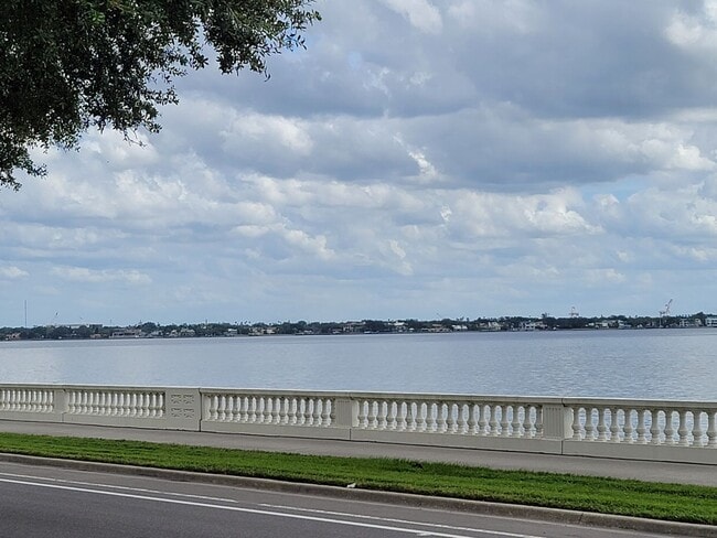 Building Photo - Live the Bayshore Boulevard / Soho Lifestyle, in Style!