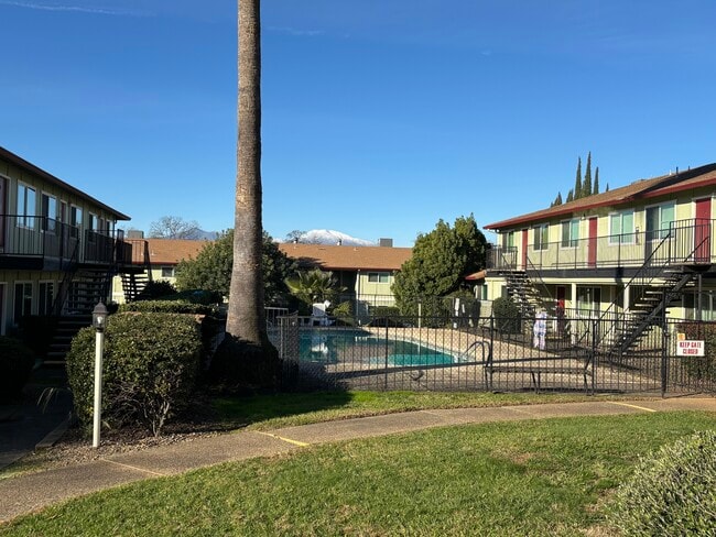 Pool Area - Manzanita Manor Apartments