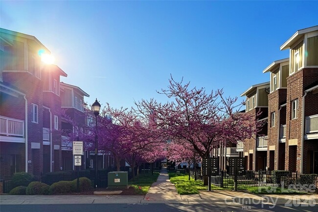 Photo - 1424 W 4th St