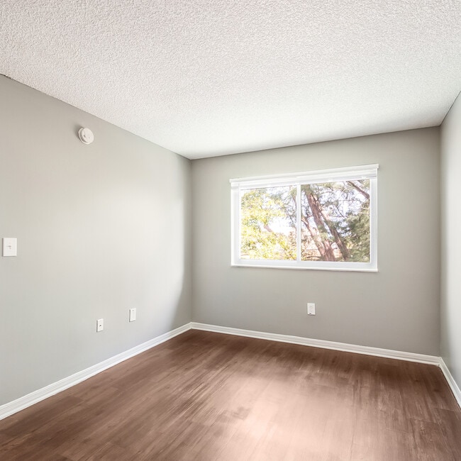 Photo - Prospect Park