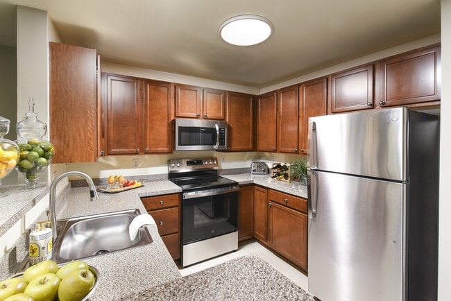 Chestnut Oaks, 55+