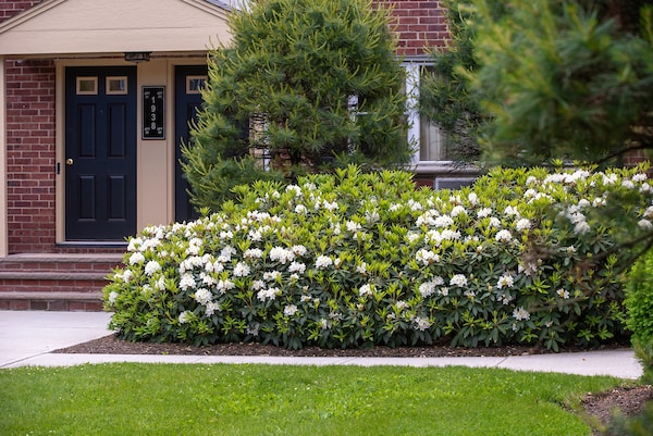 Photo - Lincoln Gardens