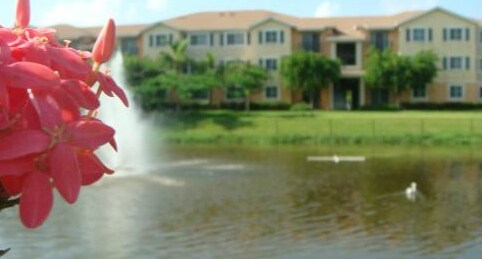 Photo - Bonita Pointe