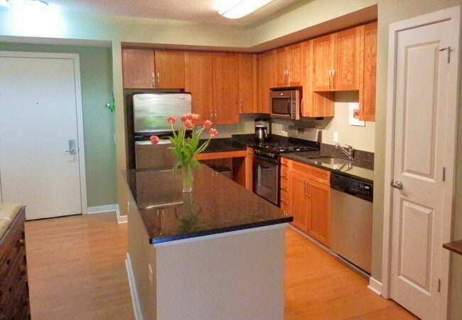 Gas Stove & Stainless Steel Appliances - 475 K St NW Unit 405