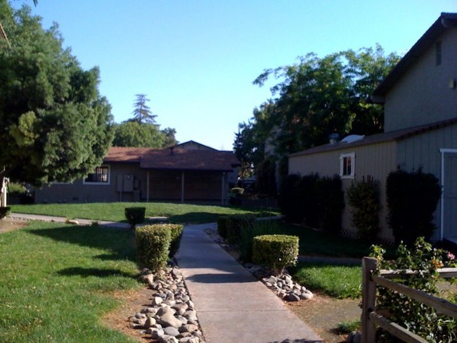 Shadetree North - Shadetree North Apartments