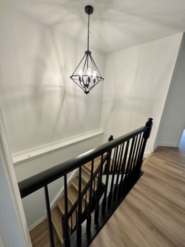 Photo - 10636 Winfield Loop