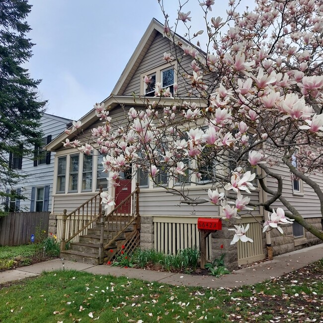 Building Photo - 6642 W Stevenson St Unit 6642 Lower