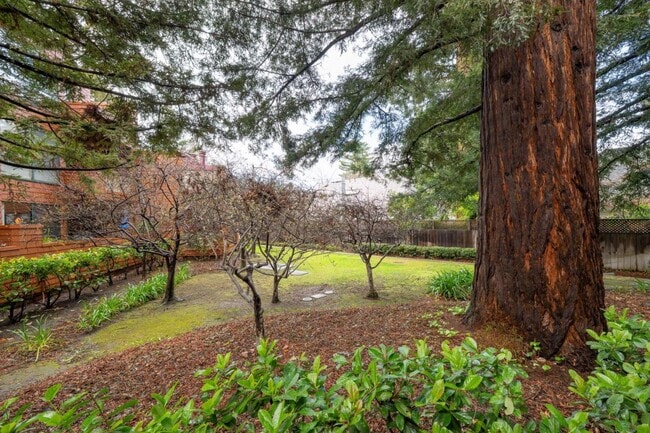 Photo - 4250 El Camino Real