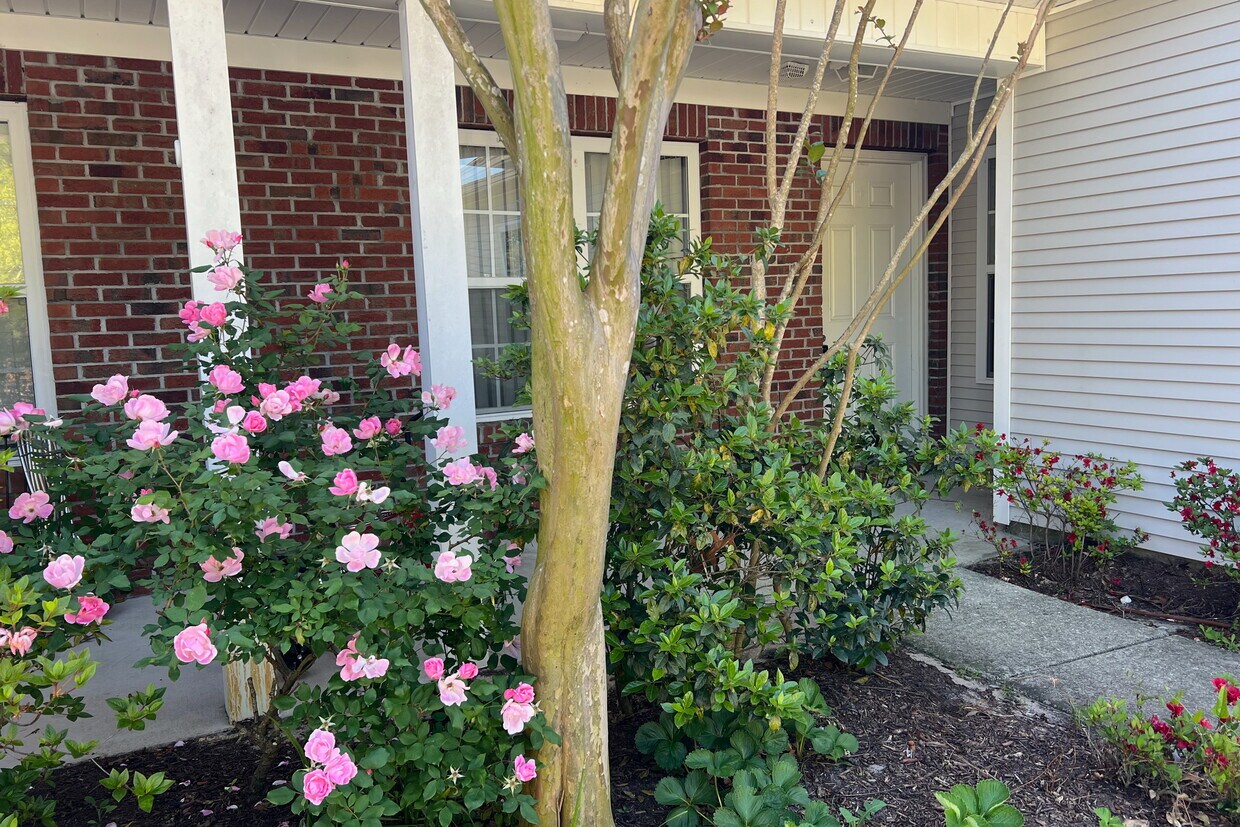 Photo - 6219 Michelas Bay Ln (Wilmington, NC)