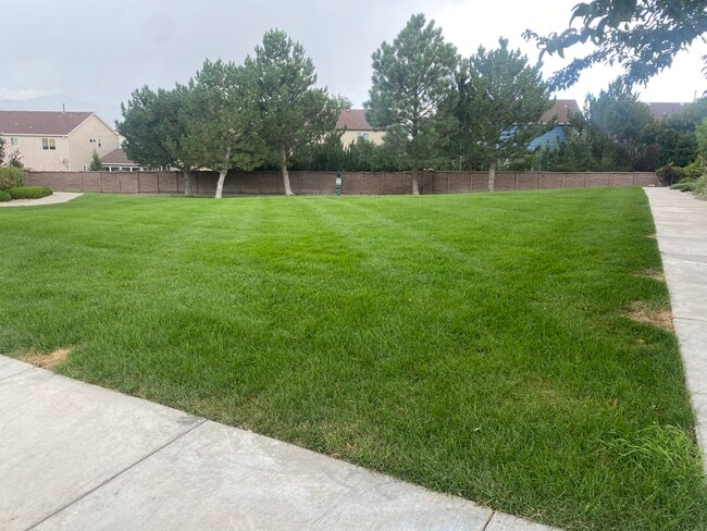 Photo - 8735 Bamboo Grove