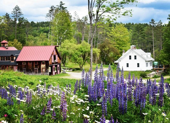 Photo - 4669 Vermont Rte 100