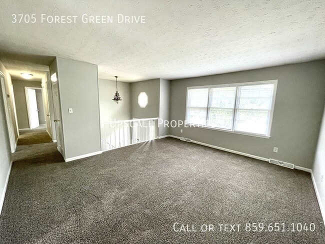 Photo - 3705 Forest Green Dr