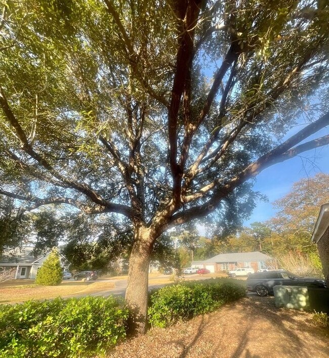 Photo - Brick one level home, Live Oak Tree, 3-4 bedrooms, fenced yard, deck.