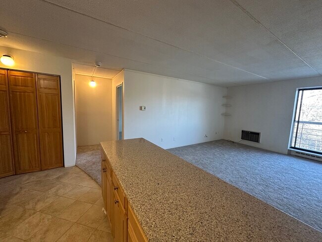 Photo - 46 Cochituate Rd Unit 408