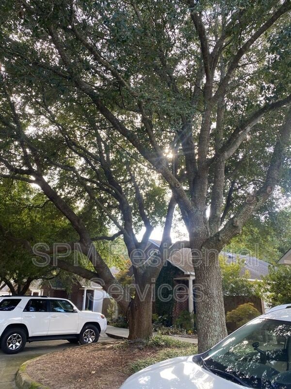 4210 Lake Ave