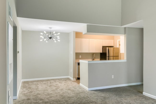 Photo - Carmel Brook