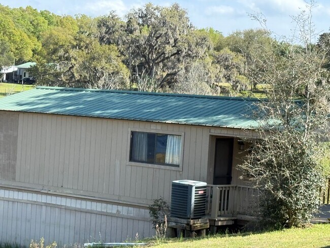 Photo - Mother in law