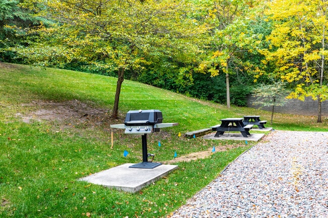 Outdoor Grilling Area