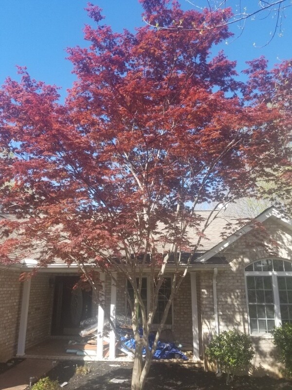 Photo - 601 Indian Trail Rd