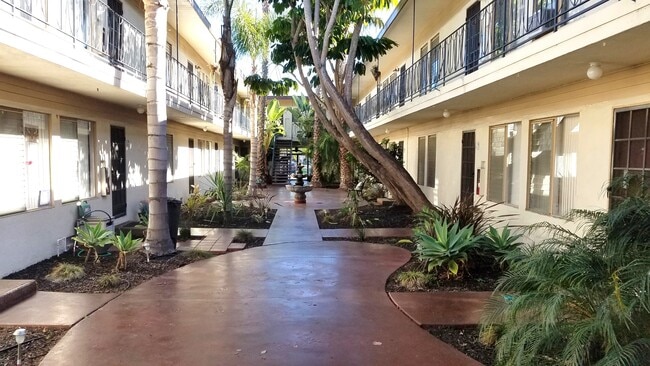 The Palms