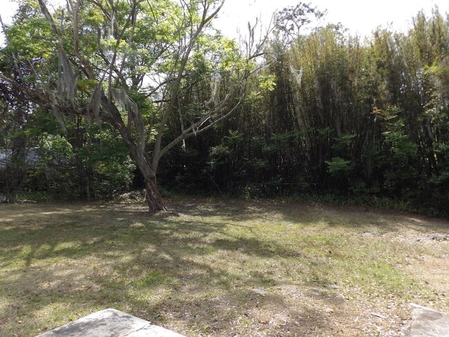 Photo - Orange City 3 Bedrooms 2 Bath 900 SQ FT Call Carole Arcaro 386-216-4900