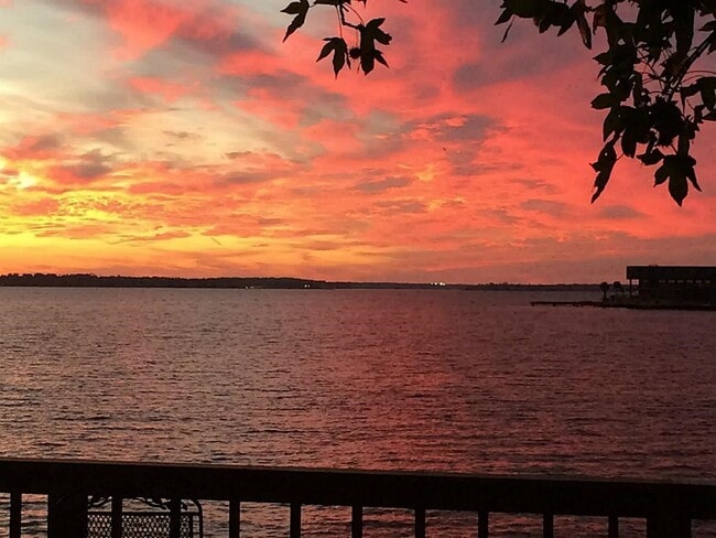 Building Photo - 10725 Joann St