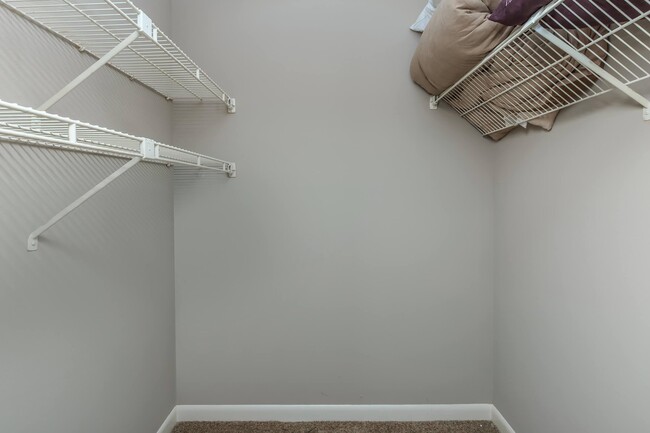 ABUNDANT SPACE IN WALK-IN CLOSET.