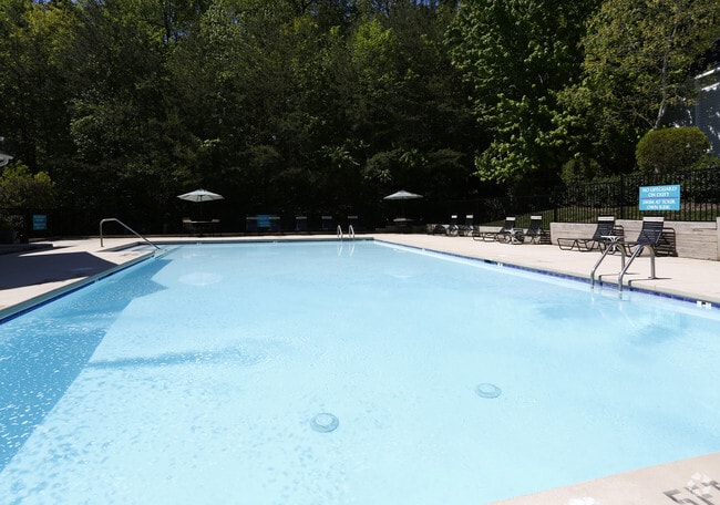 Piscina - Laurel Bluff Apartments and Townhomes