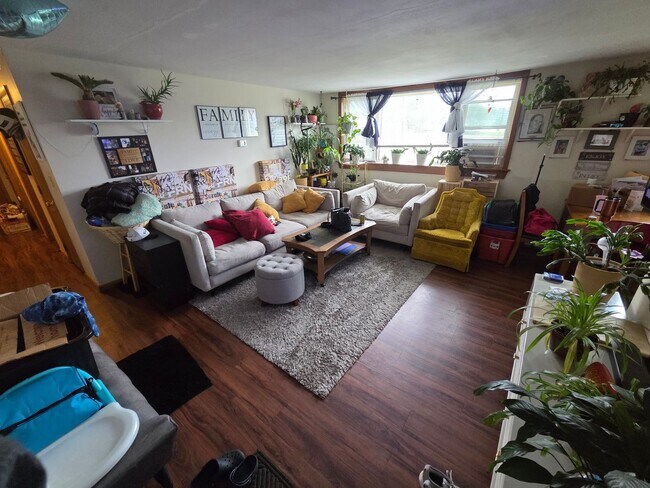 Photo - Available August 6! - 2 Bed 1 Bath Apartment Unit 3