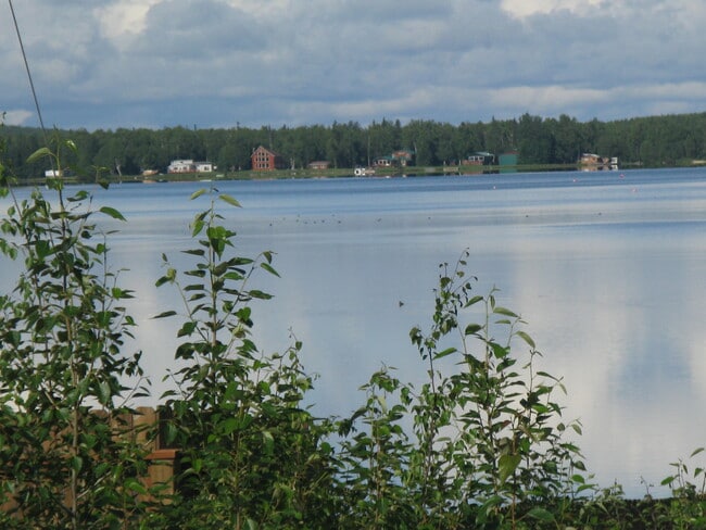 Lake across the road. - 161 E Susitna Ave Unit 3
