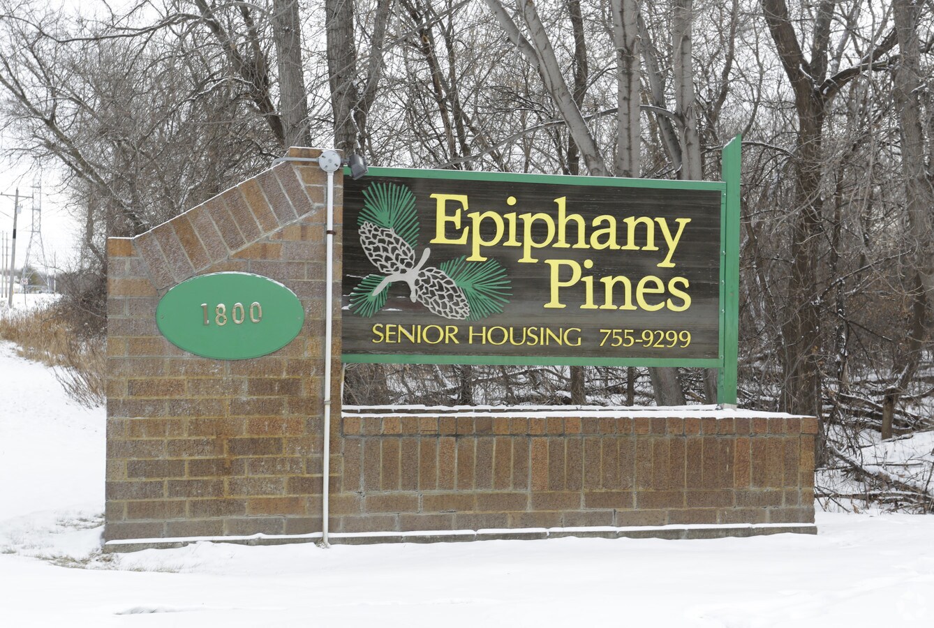 Photo - Epiphany Pines