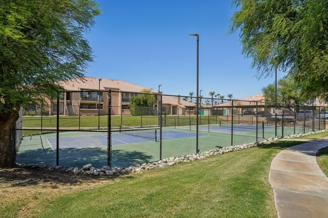 Desert Oasis Apartments