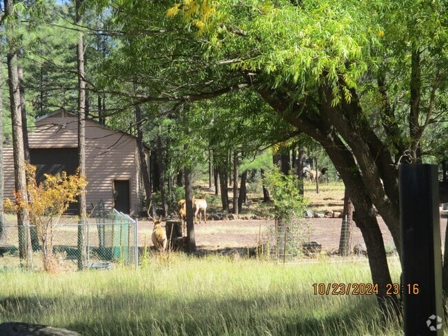 Building Photo - 3850 W White Mountain Blvd Rental