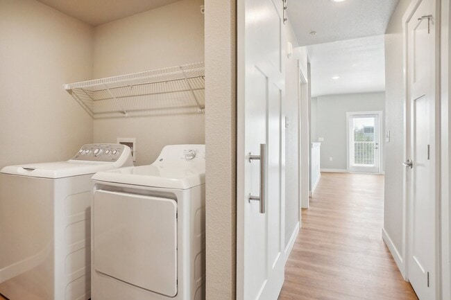 Photo - Clover On Cascade