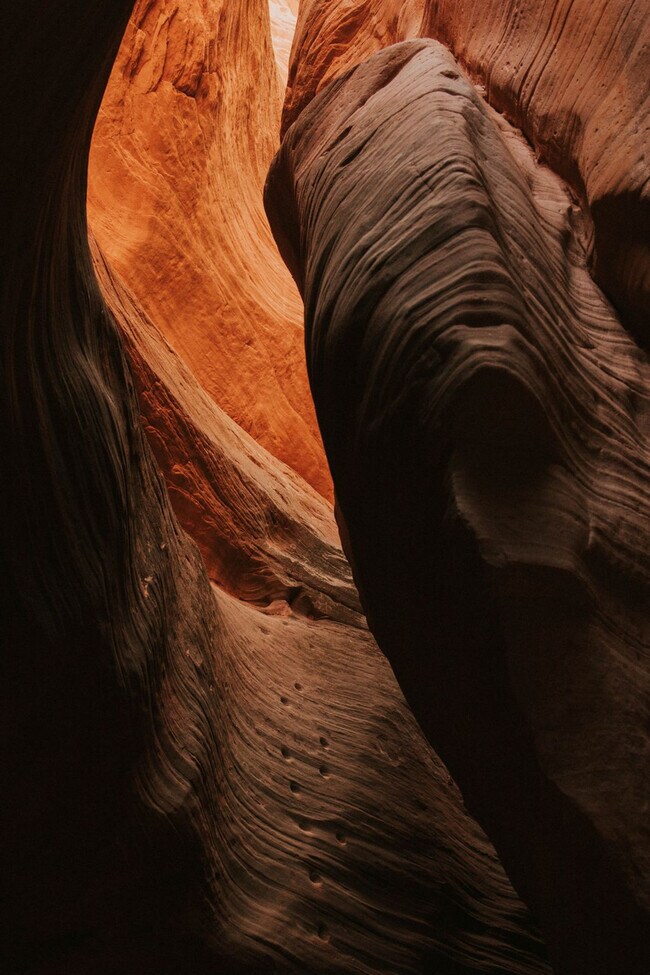 Photo - 736 W Rider Dr Unit ID1249898P