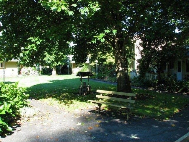 Photo - Canby Village