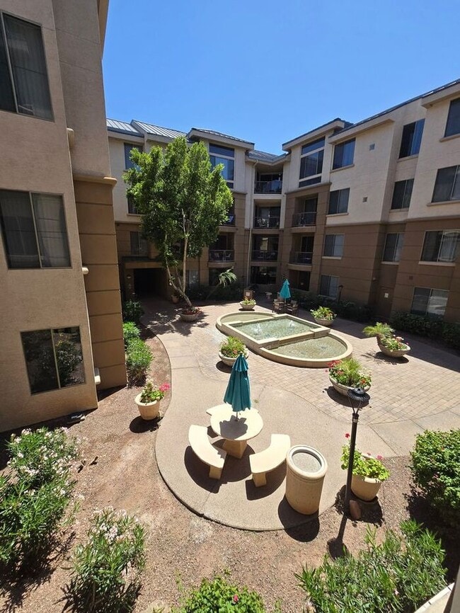 Building Photo - Charming 1-Bedroom 1-Bath Condo in Biltmore Area Unit 222