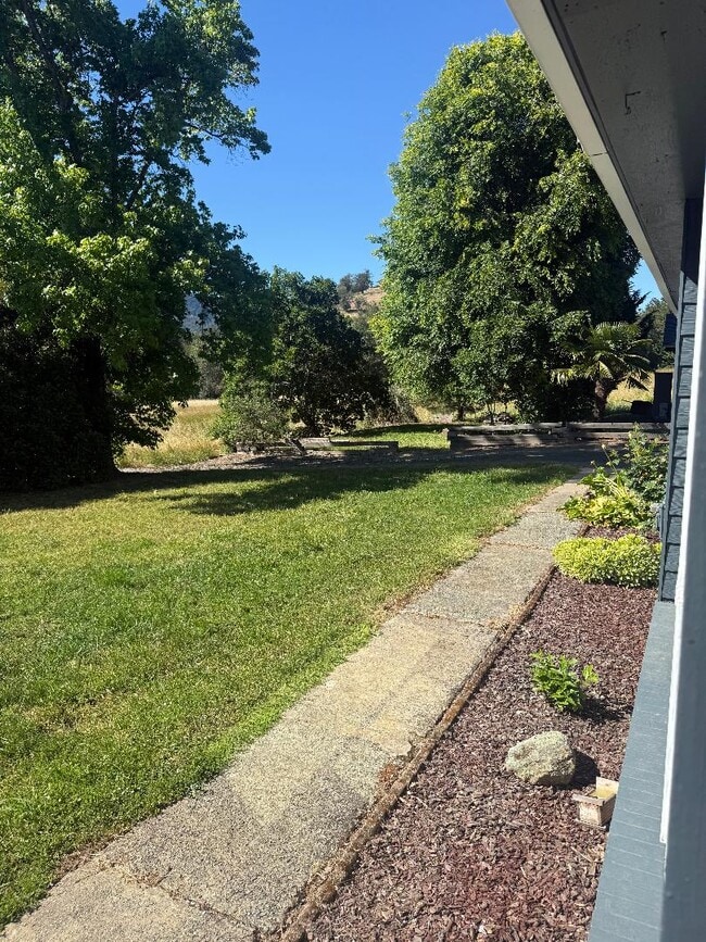 329 Gael Ln