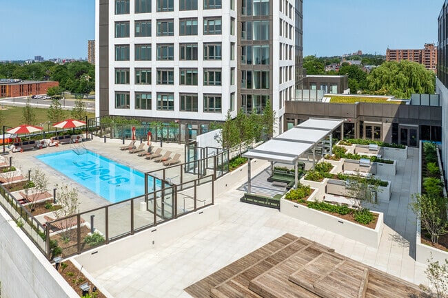 The Cove Pool & Terrace - The Spoke