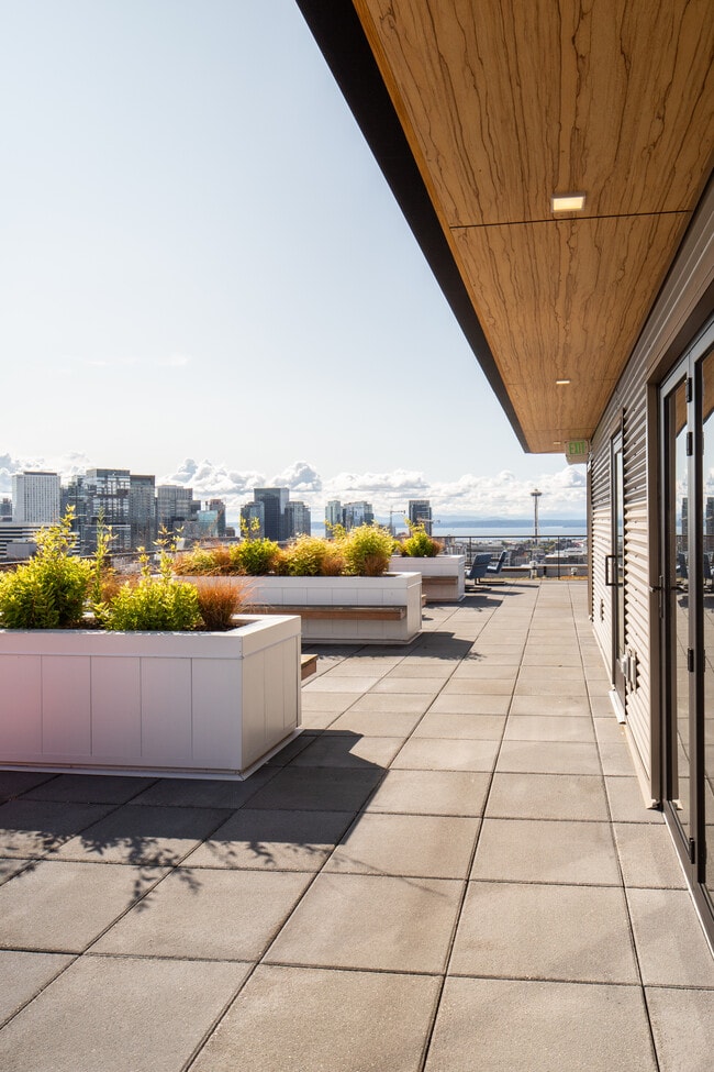 Our massive Roof Deck with sweeping views of Mt. Ranier, Seattle Skyline and the Puget Sound