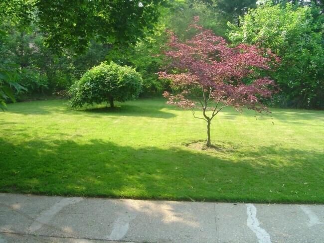 Photo - 305 Maplewood Rd