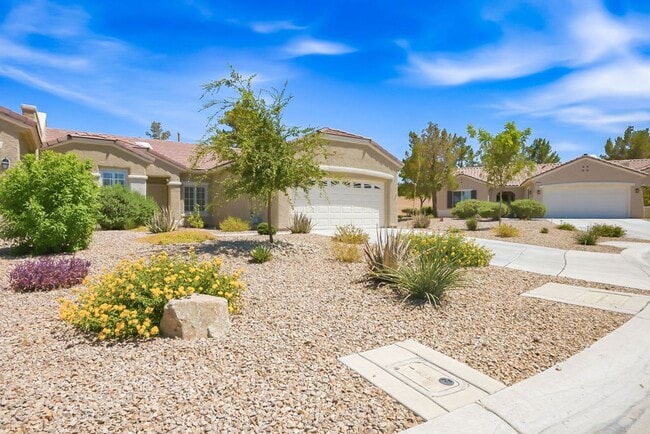 2517 Springville Way