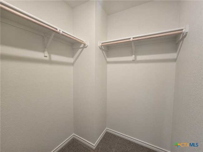 Building Photo - 3809 American Elm Dr