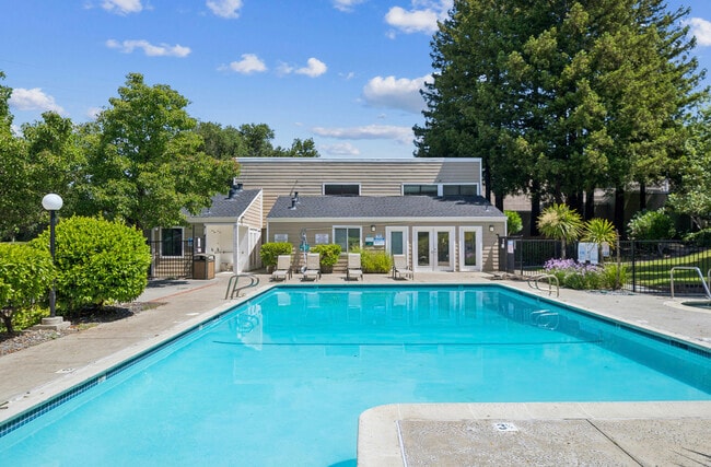 Photo - Hamilton Woods