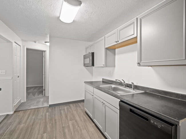 Updated Kitchen - 1 bdrm (North Side)